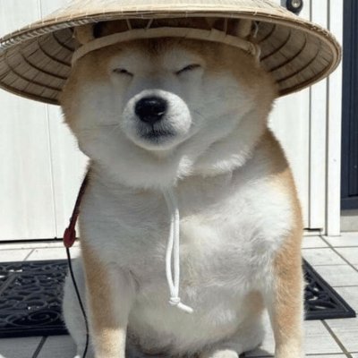 APIoooo21's profile picture. 