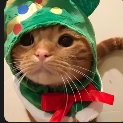 nava94_'s profile picture. carrying  @ariloveshorror