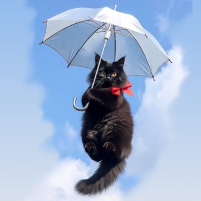 nn_stickers's profile picture. ネコ派だけど自分で飼う余裕がないので、ぬいぐるみで我慢しています。1983年生まれ。代理母出産には反対。やや低血圧で朝しんどいほう。