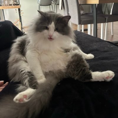 DRaff2000's profile picture. 