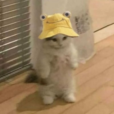 Satouhhhh's profile picture. 🦋🖤