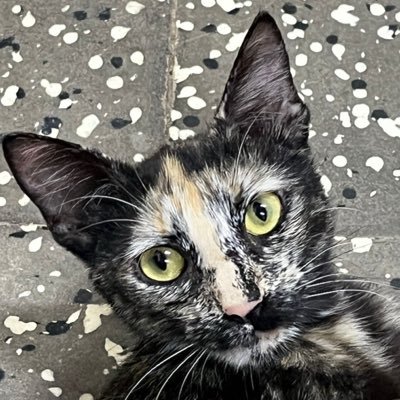 Manchis30030's profile picture. 