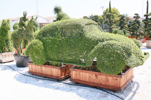 landdesignocom's profile picture. Landscape Design since 1998