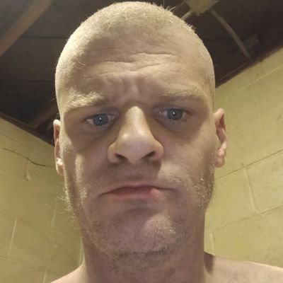 bychfukdyk's profile picture. I am your software developer. I said so. do it. doesn't matter who you are. are you compliant with your end user license agreements?