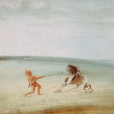 nehenaonkes's profile picture. Plains-Horse Thought