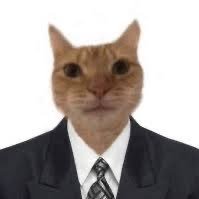 fostertheryan's profile picture. tudo que vc odeia (swiftie e kpopper)