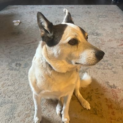 Bigoklahomamama's profile picture. 