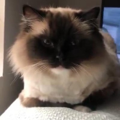 kayla80729's profile picture. A freedom lover who loves sports, golf, tennis and traveling