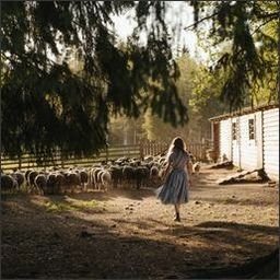 Abraham51360448's profile picture. 