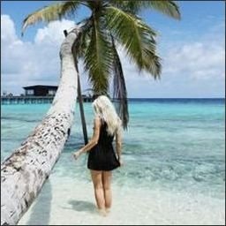 Egon1686005's profile picture. 