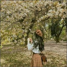 Jindrich664473's profile picture. 