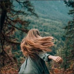 Karel477759's profile picture. 