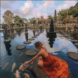 Mirek1458328's profile picture. 