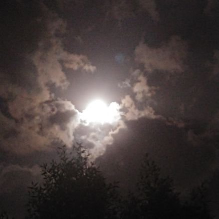 a_hamza516's profile picture. Software Engineer