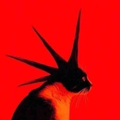 camnopuedevivir's profile picture. 🌕✨️