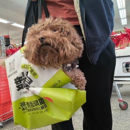 Im2sticky1's profile picture. #VRH 🇨🇱 🇦🇺