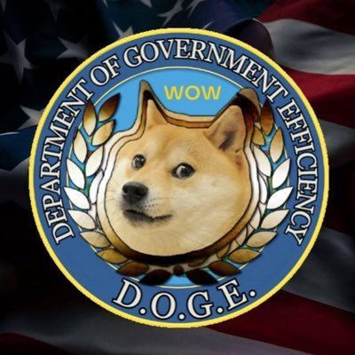 gov_doge_etrum's profile picture. Billions flowing out of Washington and into memecoins. Not affiliated w/@doge. See our linktree to buy👇