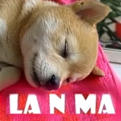 zy8aTknKIHUrYtB's profile picture. Memo X＞2024 8/12~ UO＞YGW主催 La・Slitherio＞2024 5/25~newbie 　
2024 10/18 ～https://t.co/3pfzHd3o3M ＞ｺﾐｭ+Enjoy苦手
女性♀️GAMERがもっと増えるとｲｲﾅｱと思ってます。