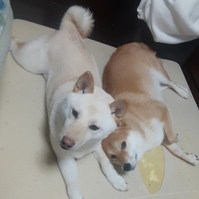 fukumomo115418's profile picture. 