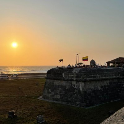 ANGELLA2026's profile picture. AMO A MIS GATOS