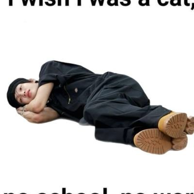 briizedayo's profile picture. いい大人です🎸🐈‍⬛⭐🧡無言フォロー失礼します🙏お友達募集中💡ライズブリズとぅんだ~🤚👍☝️