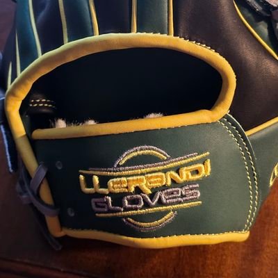 Llerandi Gloves Profile