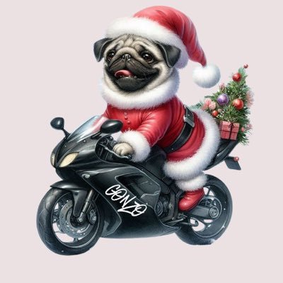 Hornet600pc34TL's profile picture. パグ、時々バイクとキャンプ #参拝旅団 旅団員No.62 #パグ #とんねるずワンフー#hornet600 #ZXR250 #望月会 #望月ミキ #にわかSLAVE#にわかキャンパー#参政党支持2019.12.24 弟分黒パグのマロが虹の橋の袂へ🌈👼 2020.1.10 2代目パグのごんぞーが家族になりました。