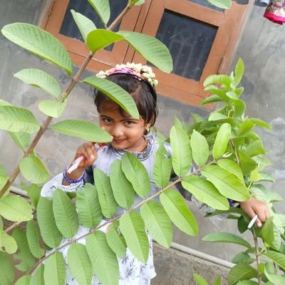 kavin1163903's profile picture. 