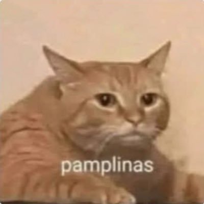 CataChaparro's profile picture. Honey has not been made to be licked by donkeys.