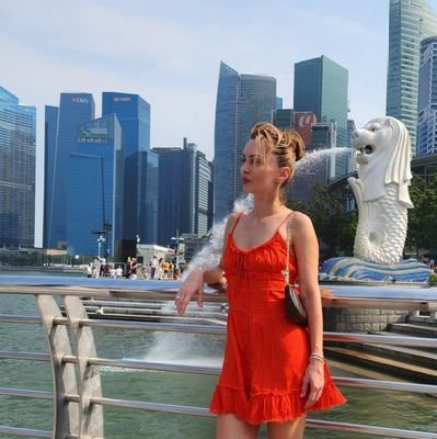 defionice's profile picture. 💛Bitcoin Eco💛