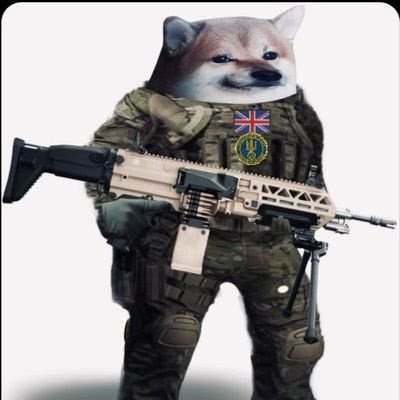 yorkyfella's profile picture. main bastard  🇬🇧 punk rocking metal head...  Nafo