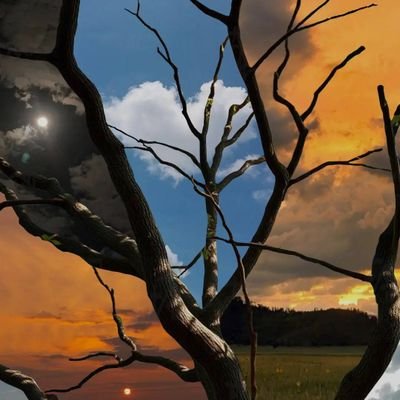 banditzy089's profile picture. 