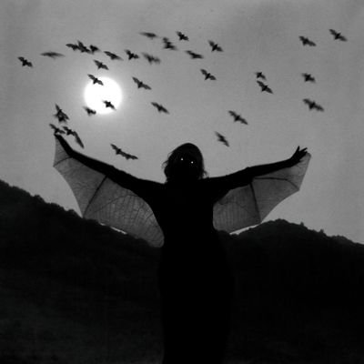 singkongpisang's profile picture. @findyourteume my fan acc. don't reroll pls. using wifi & mobile data.