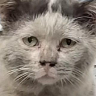 honeyystars's profile picture. 평댕프 ♡ MONSTA X #민혁 ◡̈ • DMD #nampingster 《 HQ in ❤ pls do not crop my logo 》 ไม่อนุญาตให้นำภาพ/คลิปไปรีโพสโดยไม่ขออนุญาตก่อนทุกกรณี หากฝ่าฝืนปรับ 5,000 บาท