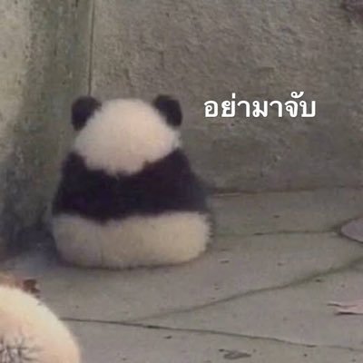 jajajama10's profile picture. 🍀💖EDG24 🍀💖 EDG 🍀💖TLN