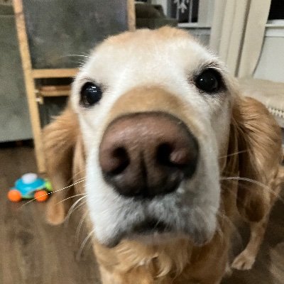 StrmCsrBrody's profile picture. I am 14  and I like tornadoes and damage assessment.