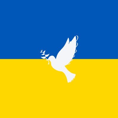 DanyloD112323's profile picture. БО НІЧ ТЕМНА ТА ПОВНА ЖАХУ Ukraine Soldier #Slavaukraini