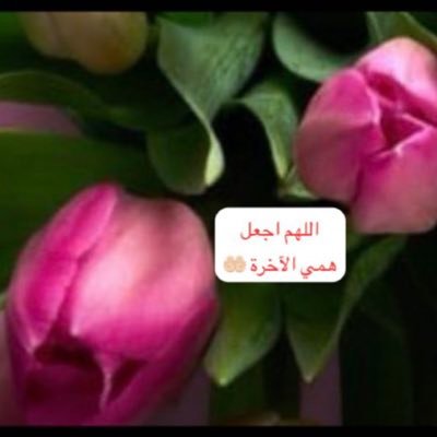foz_um's profile picture. " وَعَجِلْتُ إِلَيْكَ رَبِّ لِتَرْضَىٰ " رب اغفر لي ولوالديّ وللمسلمين والمسلمات،رب احفظ لي ذريتي وارزقني برهم 🌱🇸🇦💚🌱