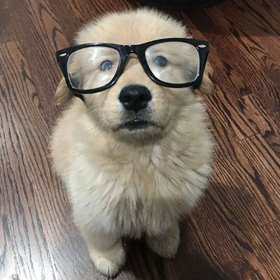 Jouskaisasleep's profile picture. 