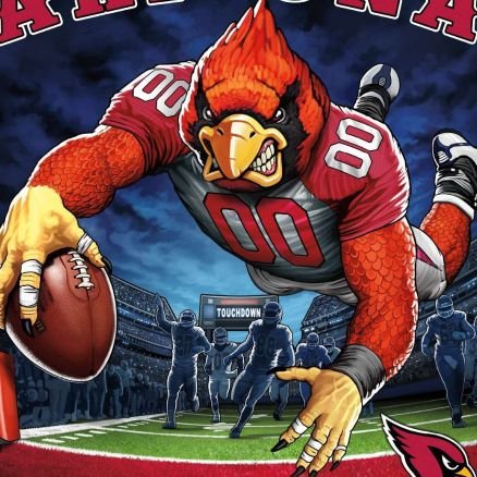 BirdmanofAZ's profile picture. Arizona Sports with an emphasis on the Cardinals. 
News, updates, opinions, and humor. 

Some cultures consider being pooped on by a bird a sign of good luck.