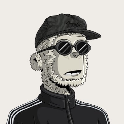 jpegslife's profile picture. 🇳🇱| Web3 Incentives | Airdrop Alpha