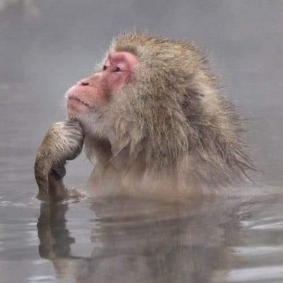 BobbyFlySOL's profile picture. 