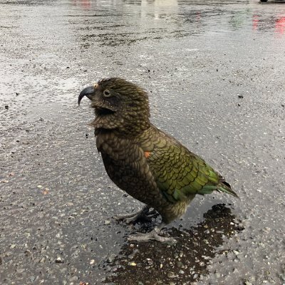 Qn4o20GAx543725's profile picture. SES営業(都内) | パートナー企業様は随時募集しております | 情報交換等でも気軽にDMお待ちしております！
こちらより日程のご調整よろしくお願いします！→https://t.co/1MHOE9uMKA