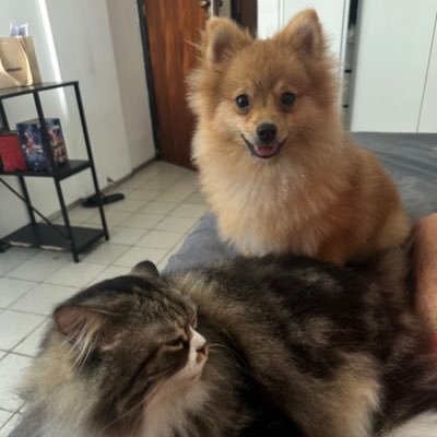 thallys_arthur's profile picture. 