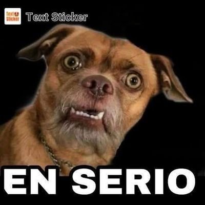 gaytan_zep85701's profile picture. 