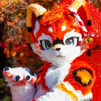 mofumofuseikuu's profile picture. 