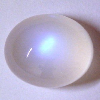 suryeoni46952's profile picture. 여성투자자 / adhd