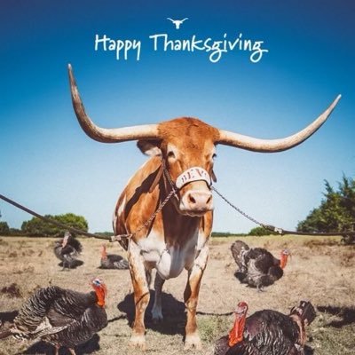 hornsup87's profile picture. Texan. Husband. Father. Part-time kid. Golf junkie. Bourbon. Tequila. Cigars. Cabernet. Rangers. Stars. Cowboys. Dodgers and .. Longhorns 🤘🏽