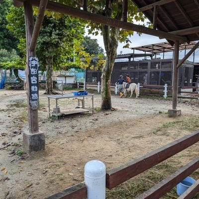 TKs11152024's profile picture. 