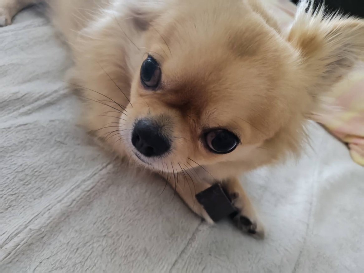 Buddyonse's profile picture. 